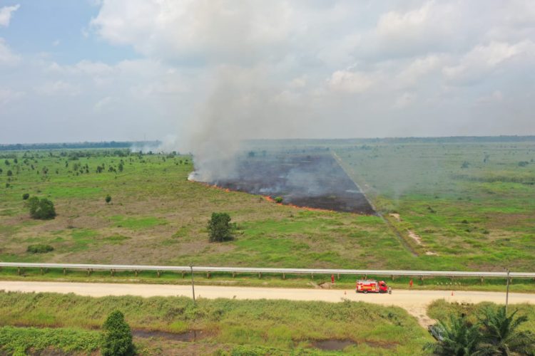 lahan terbakar
