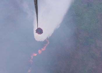 Polisi Selidiki Kebakaran Lahan Di Tanjabbar
