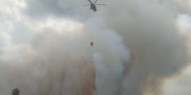 Kebakaran Hutan dan Lahan Meluas di Jambi
