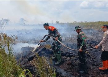 Brigjen TNI Rachmad Padamkan Karhutla Di Rantau Panjang