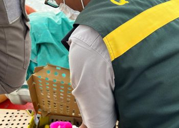 Karantina Jambi gagalkan pengiriman seribu ekor DOG ke Batam