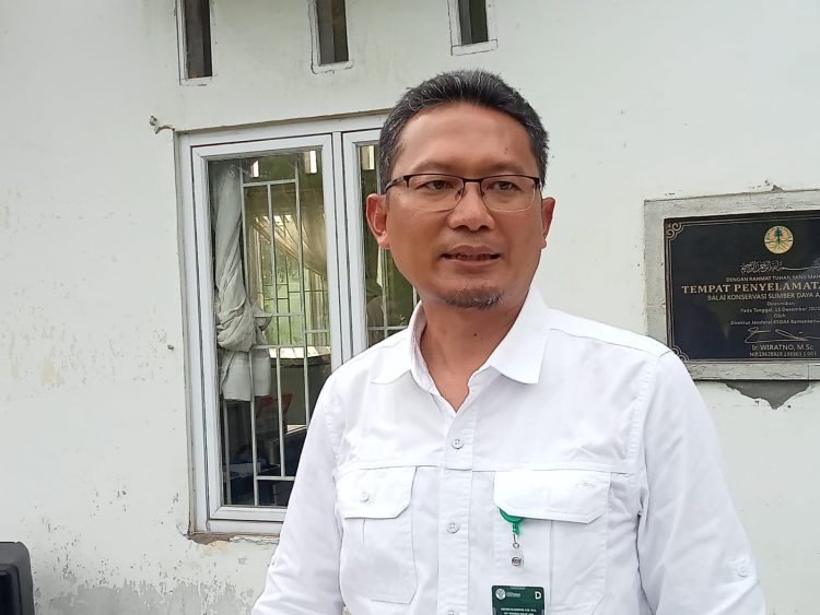 BKSDA turunkan tim atas laporan warga yang diterkam harimau
